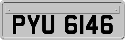 PYU6146