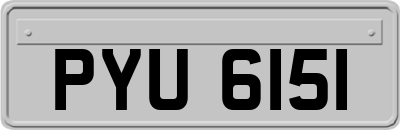 PYU6151