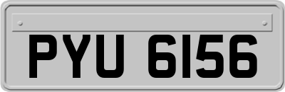 PYU6156