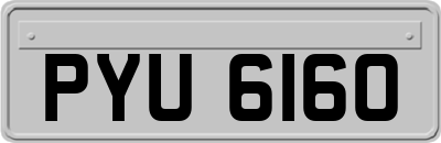 PYU6160