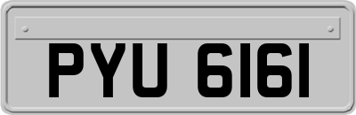 PYU6161