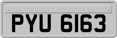 PYU6163