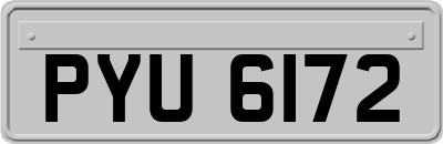 PYU6172