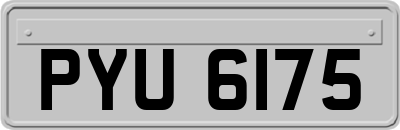 PYU6175