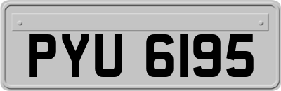 PYU6195