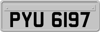 PYU6197