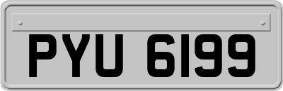 PYU6199