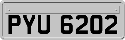 PYU6202