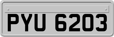 PYU6203