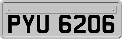 PYU6206