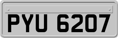 PYU6207