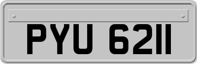 PYU6211