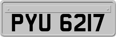 PYU6217