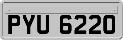 PYU6220