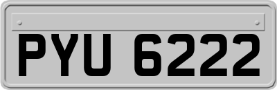 PYU6222