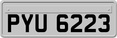 PYU6223