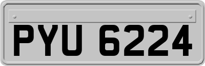 PYU6224