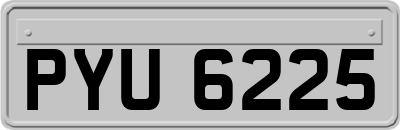 PYU6225