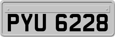 PYU6228