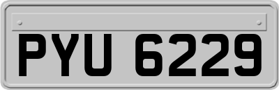 PYU6229