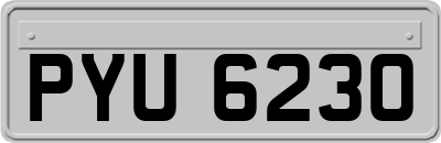 PYU6230