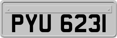 PYU6231