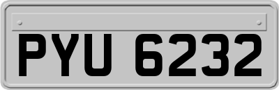 PYU6232