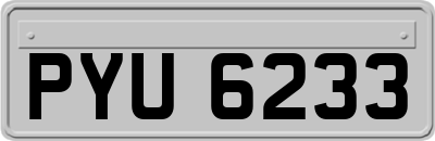 PYU6233