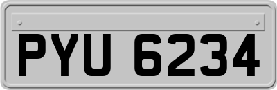 PYU6234