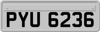 PYU6236