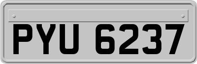 PYU6237