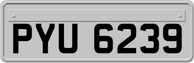 PYU6239