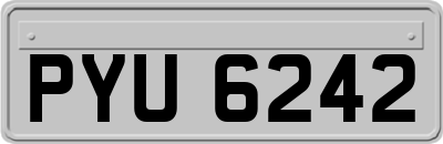 PYU6242