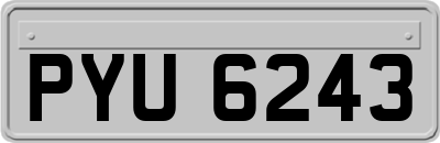 PYU6243