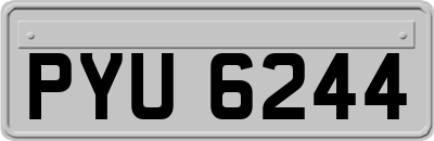 PYU6244