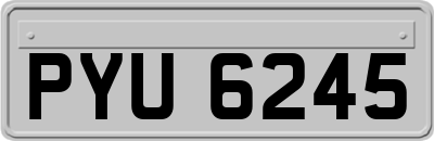 PYU6245