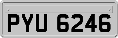 PYU6246