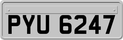 PYU6247