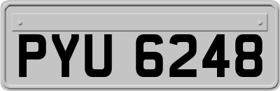 PYU6248