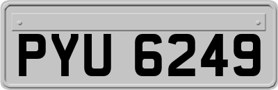 PYU6249