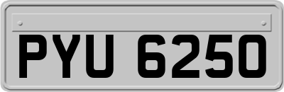 PYU6250