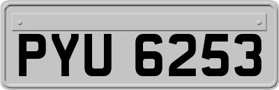 PYU6253