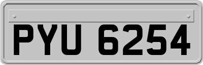 PYU6254