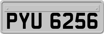 PYU6256