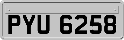 PYU6258