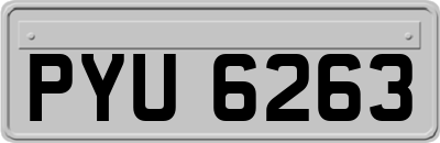 PYU6263