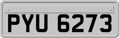 PYU6273