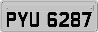 PYU6287