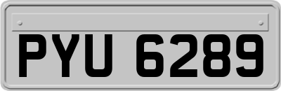 PYU6289