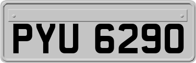 PYU6290